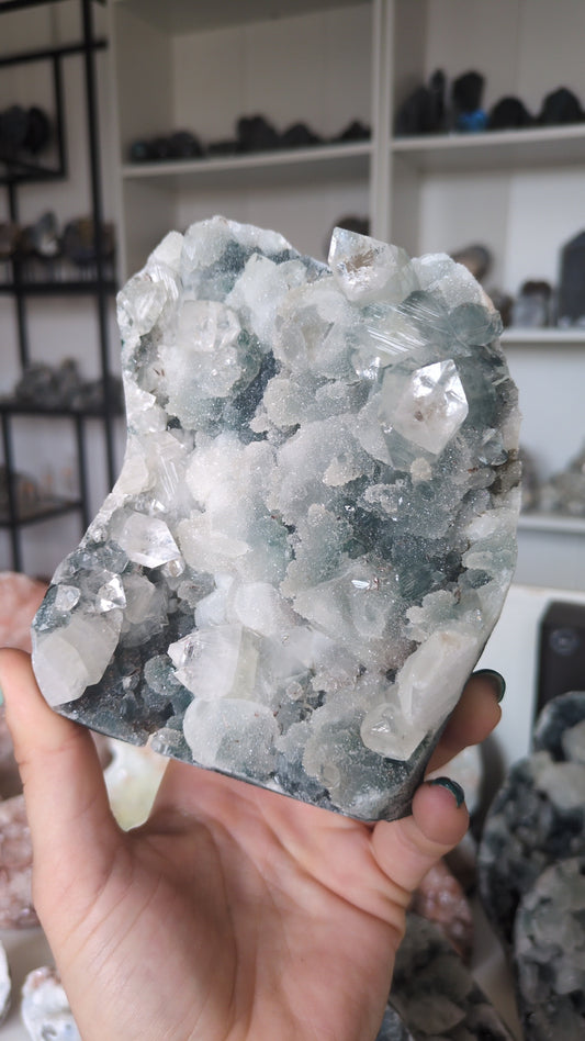 Apophyllite on Blue Chalcedony ✨ K