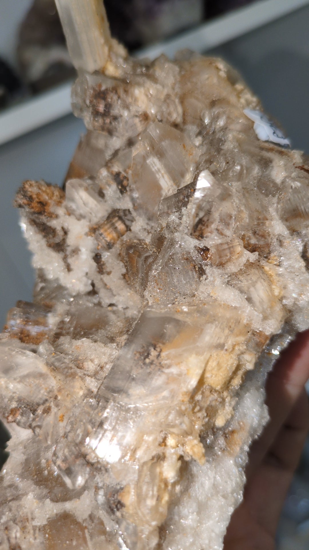 'Tiger teeth ' Selenite ✨