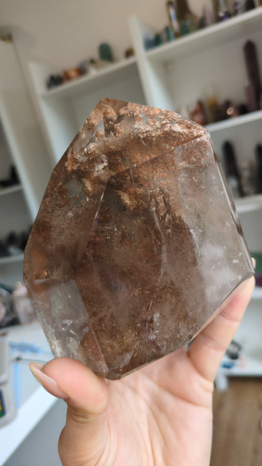 Super chunky lodolite with rutile tower ✨