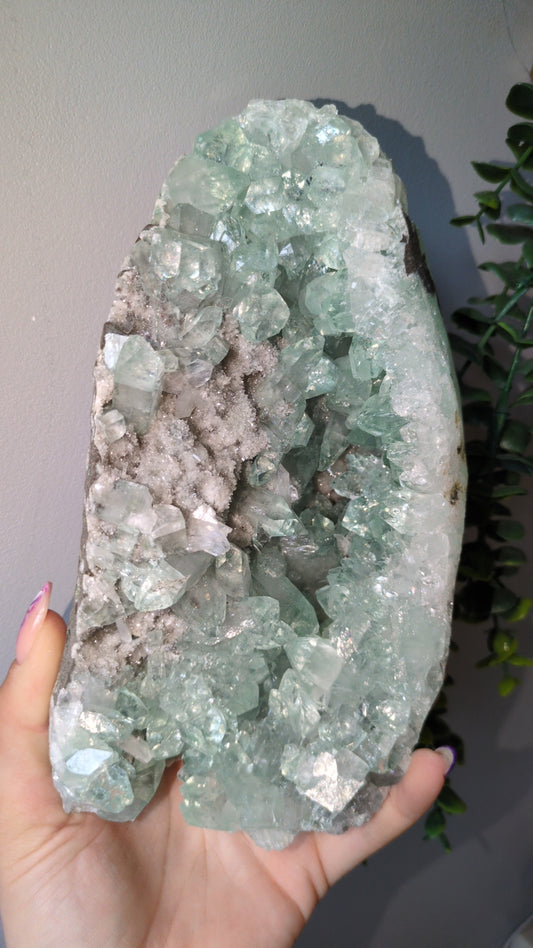 Icy Mint Apophyllite ✨