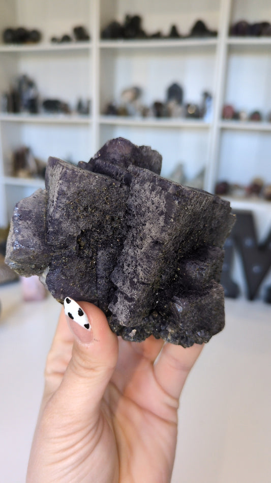 Raw flourite with pyrite ✨
