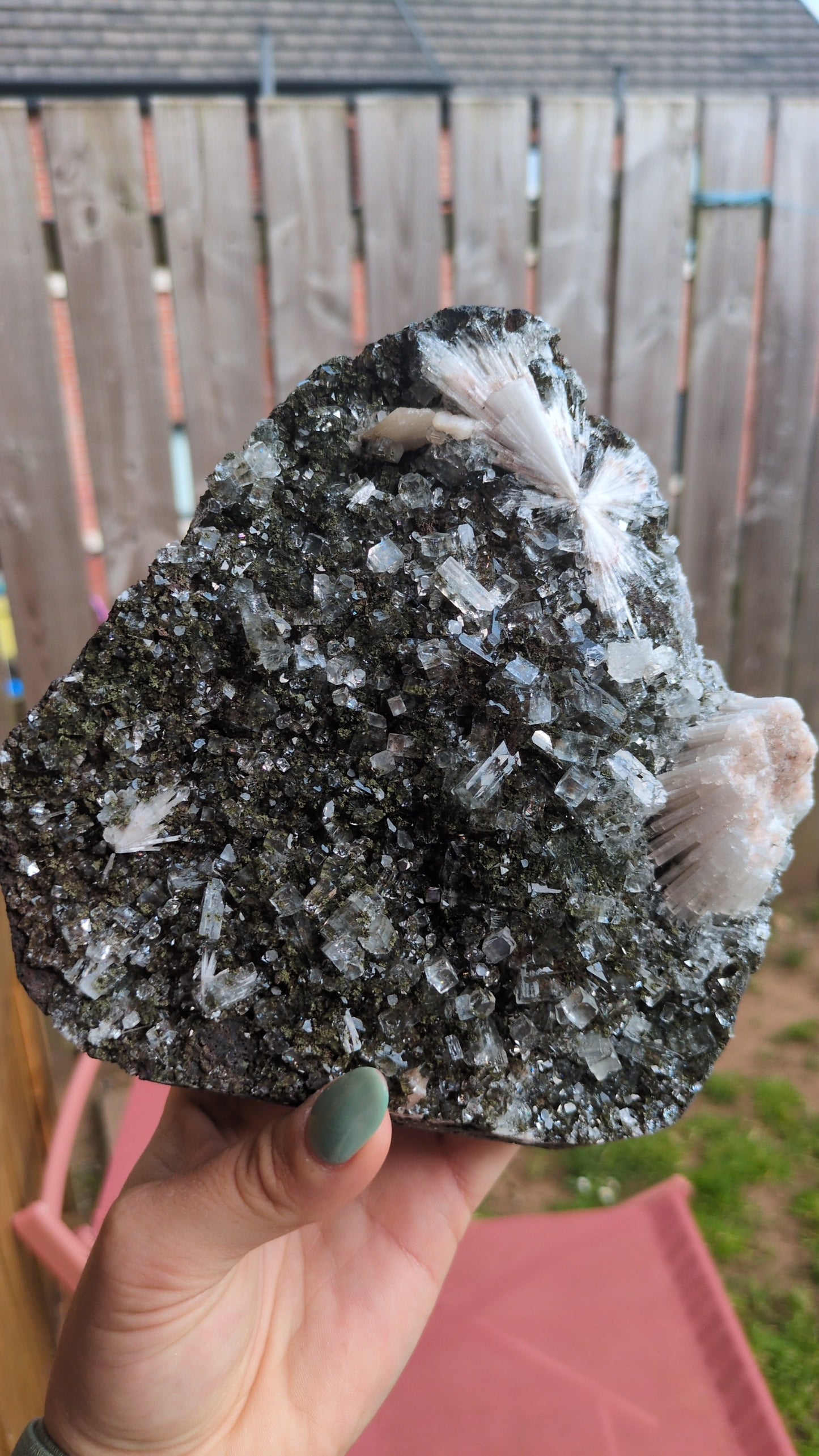 Forest Apophyllite ✨A