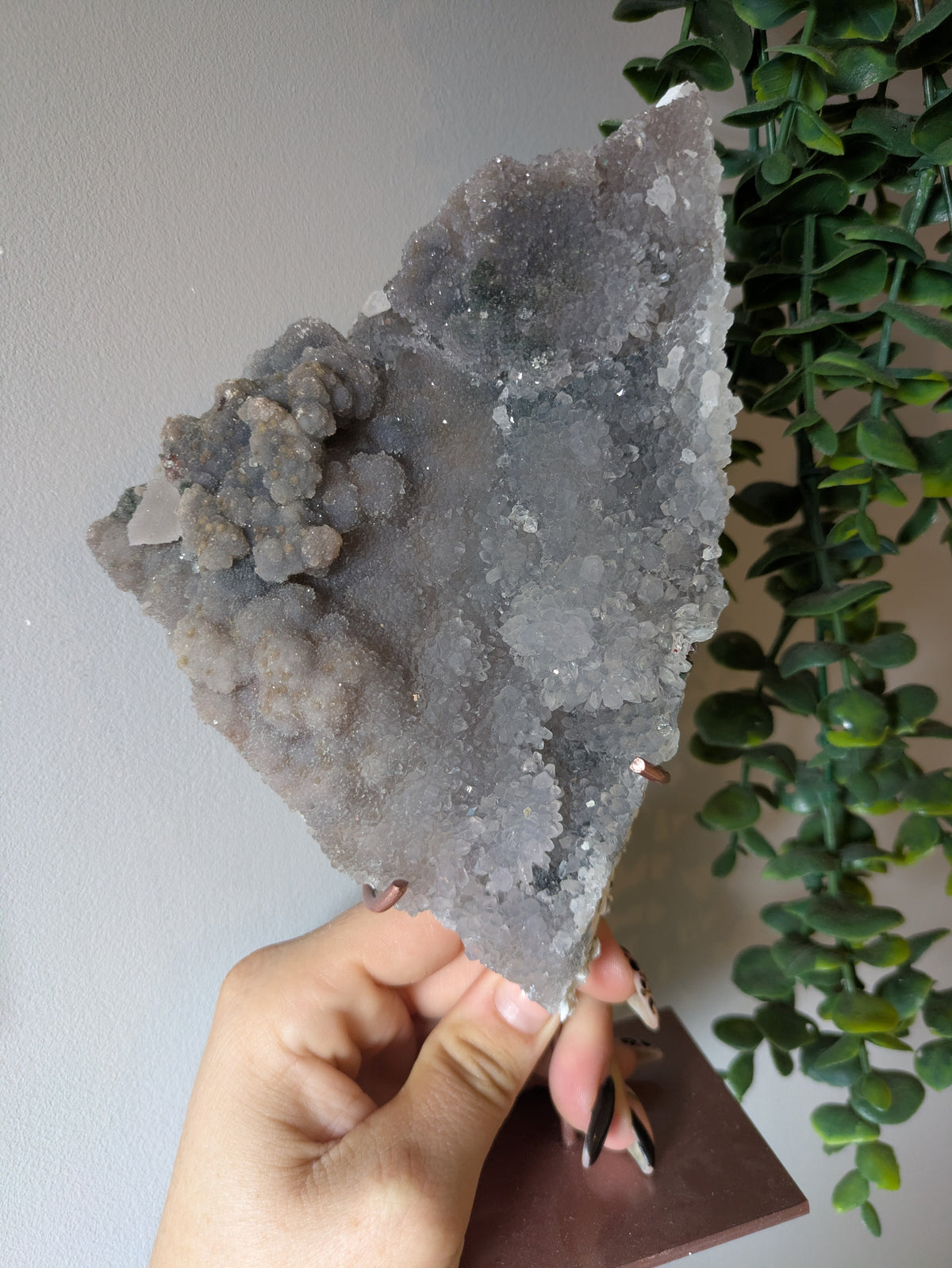Zeolite On stand ✨ A
