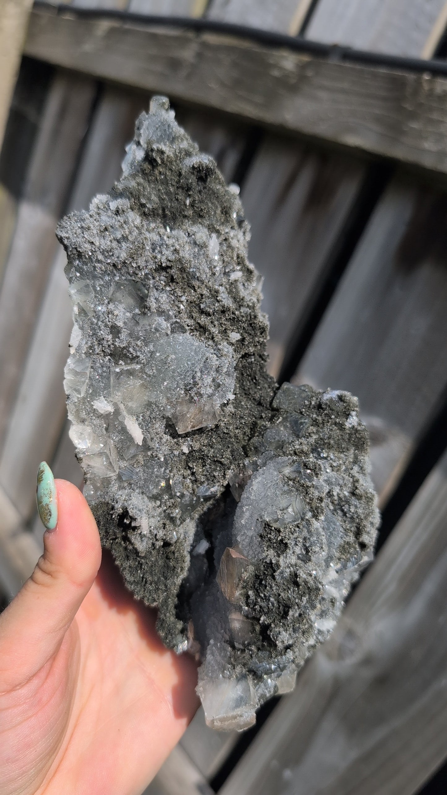 Black forest Apophyllite ✨ T