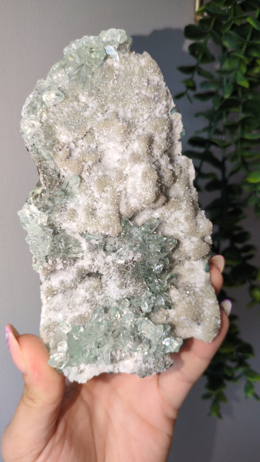 Icy Mint Apophyllite ✨ T