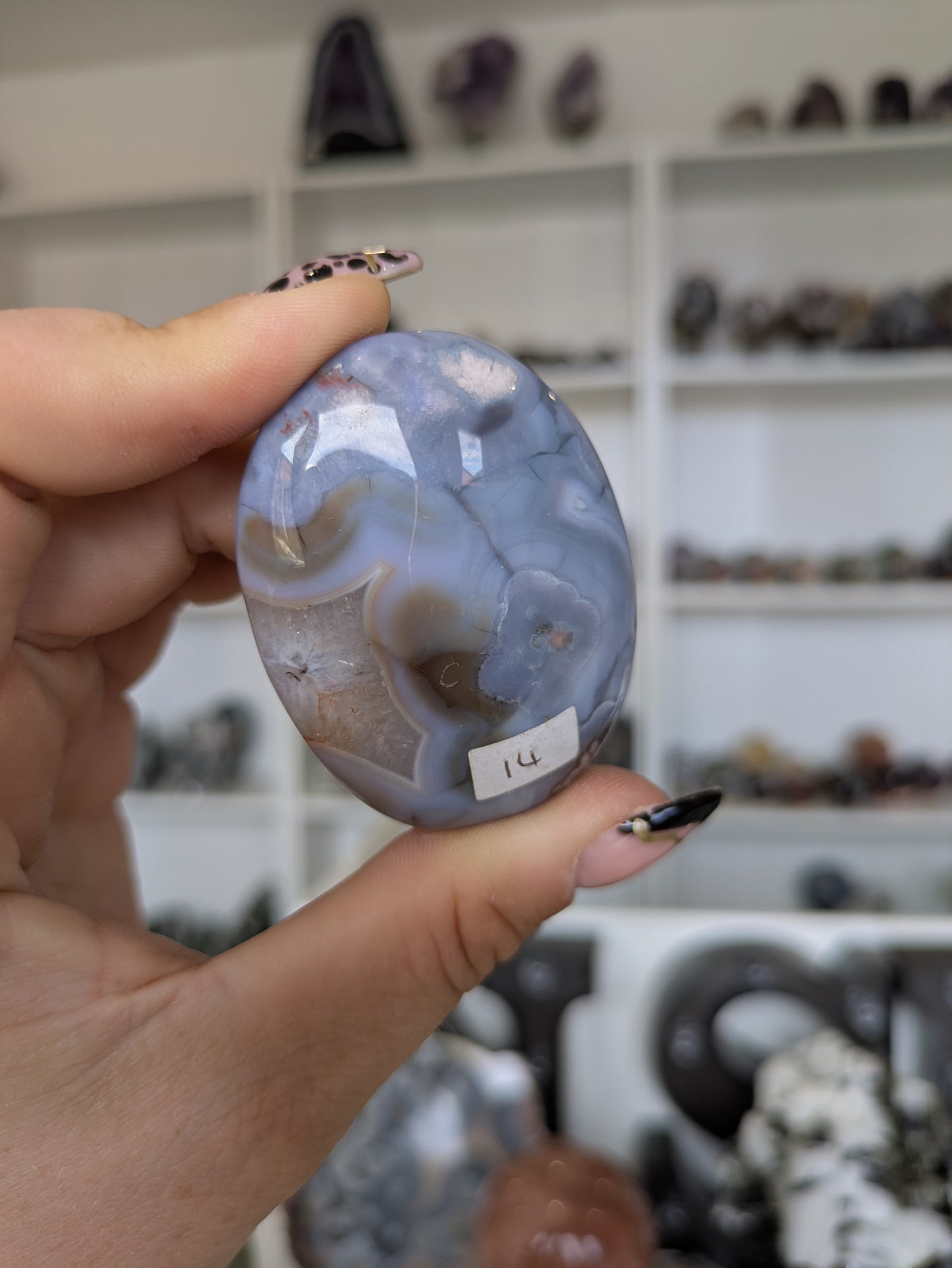 Blue flower agate palm ✨ X