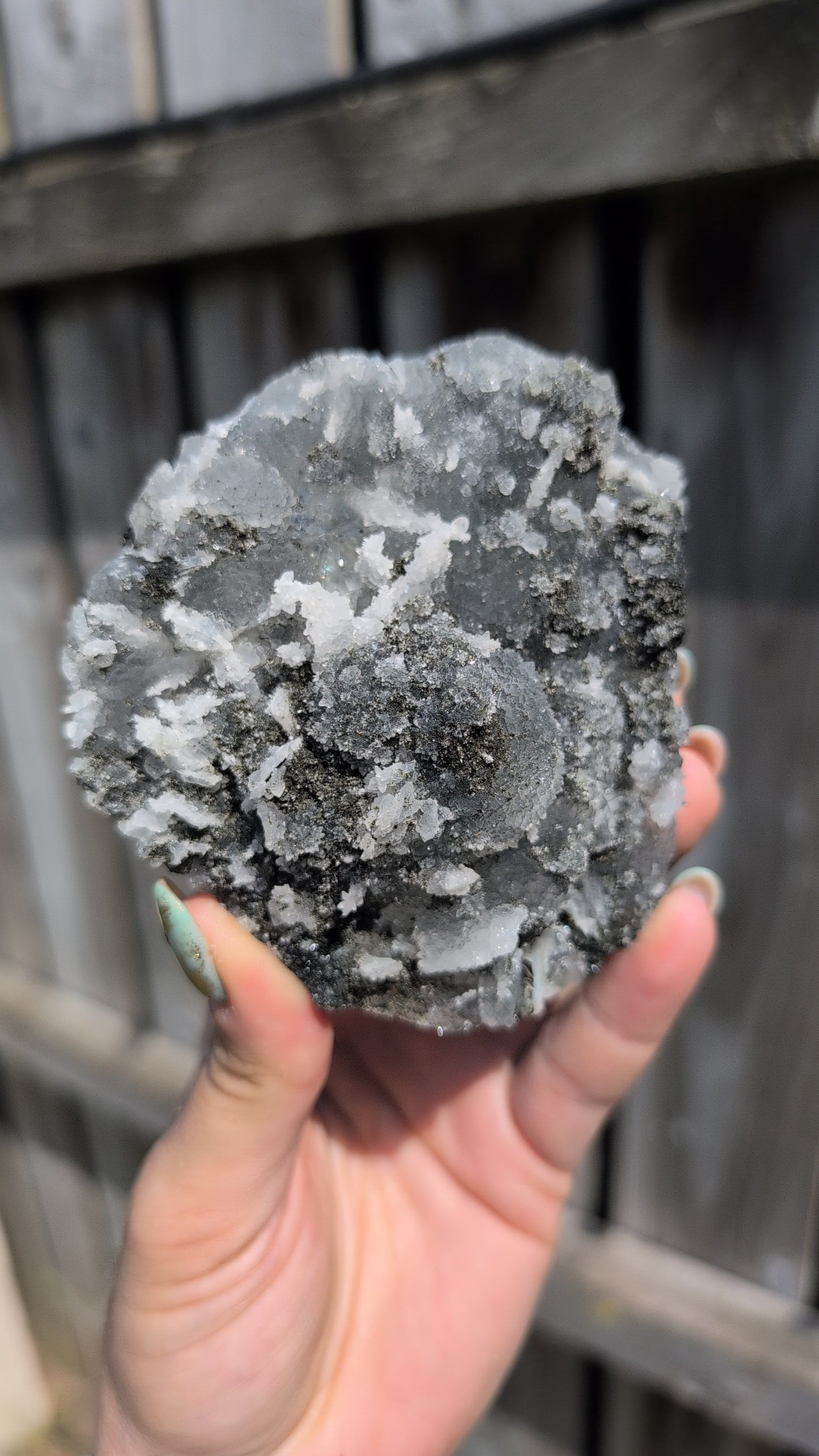 Black forest Apophyllite ✨ O