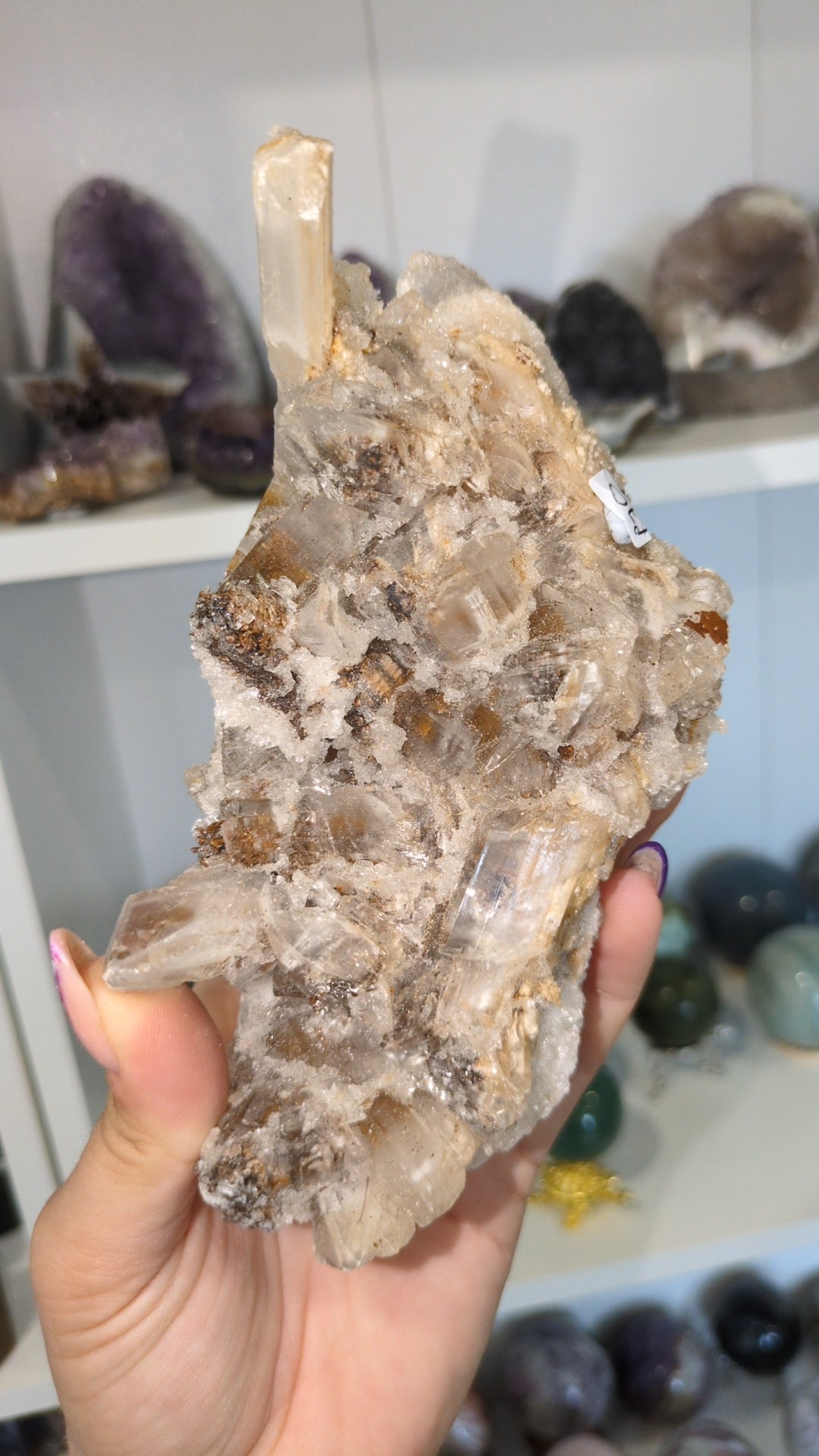 'Tiger teeth ' Selenite ✨