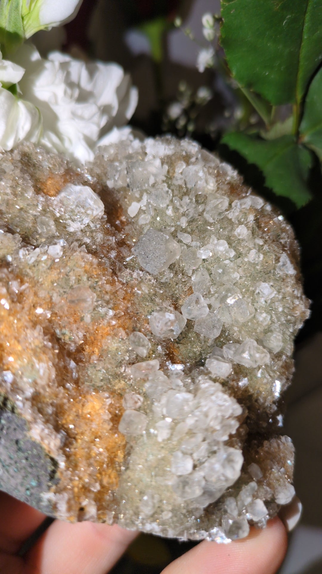 Calcite specimen from India ✨ D