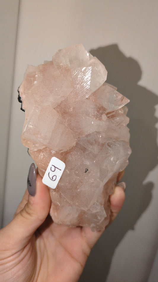 Pink sunset Apophyllite ✨