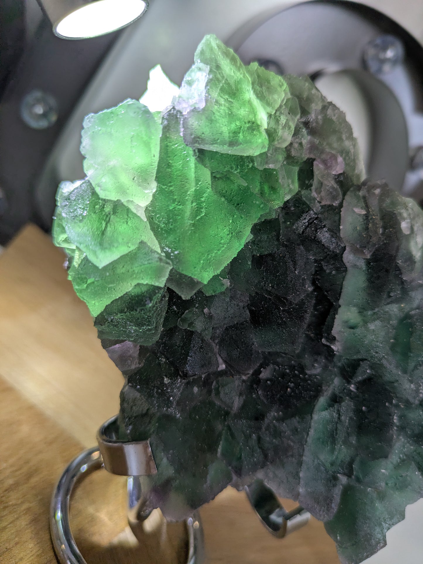 Green flourite from Fuji province ✨