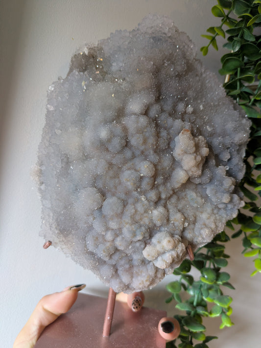 XL zeolite on stand ✨ D