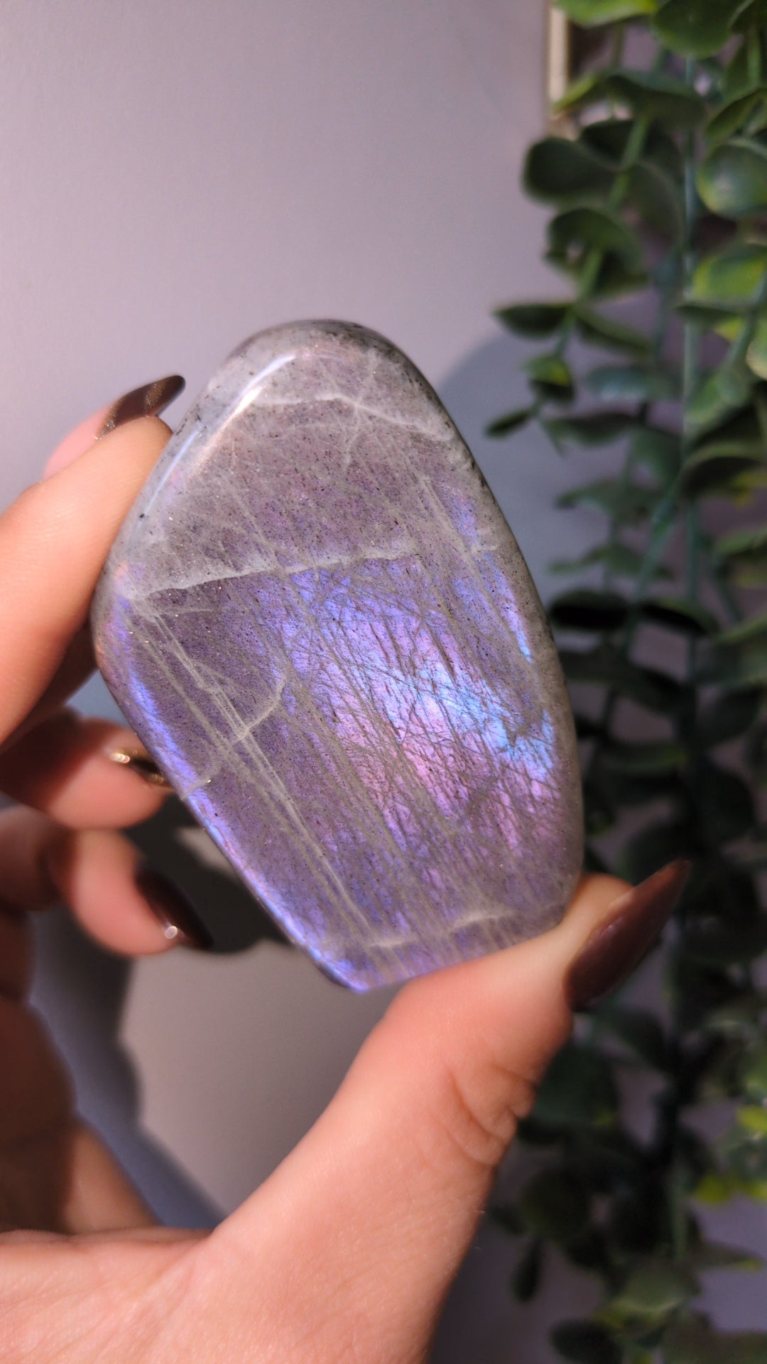 Lab freeform ✨ F