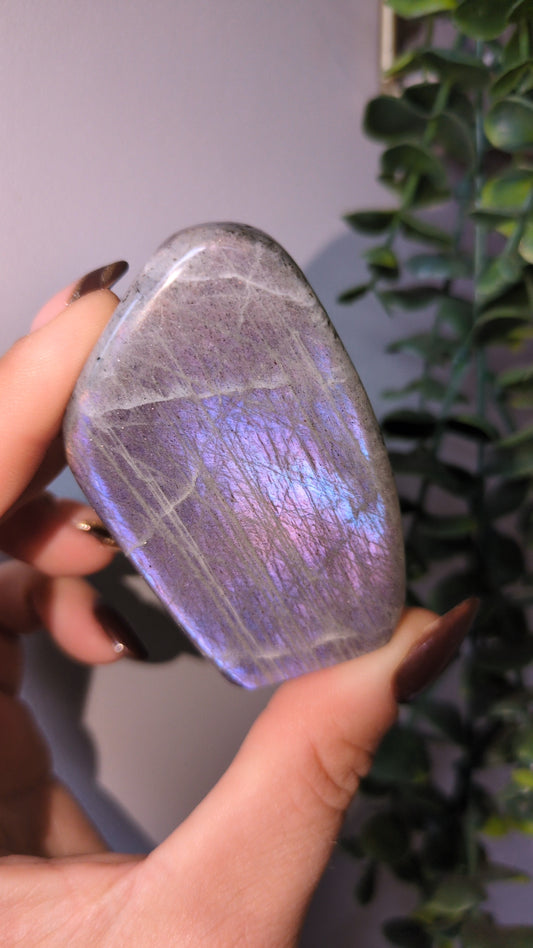 Lab freeform ✨ F
