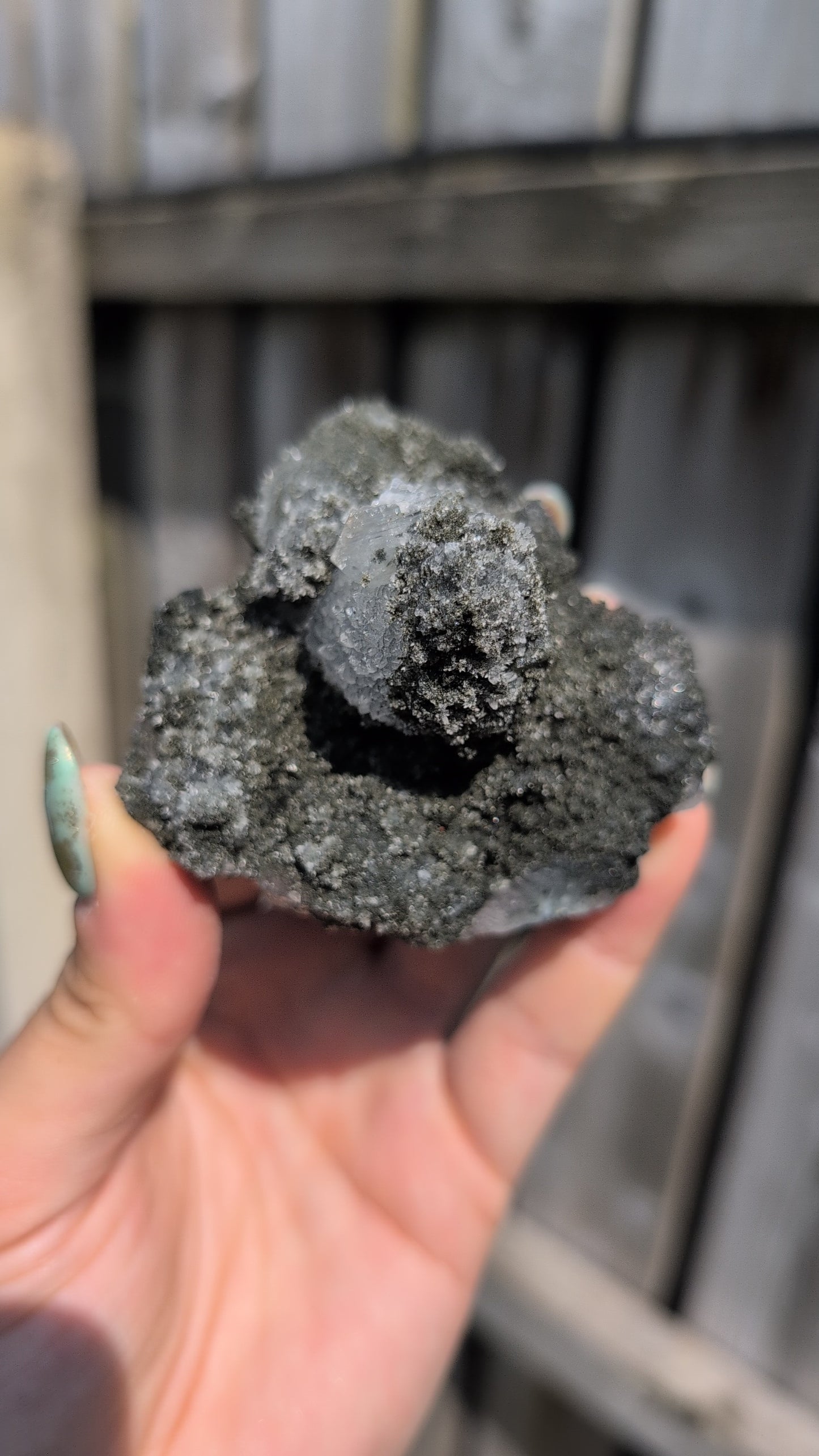 Black forest Apophyllite ✨ B