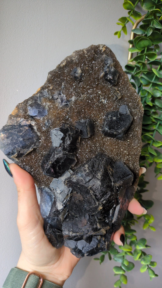 Blue flourite on smokey ✨