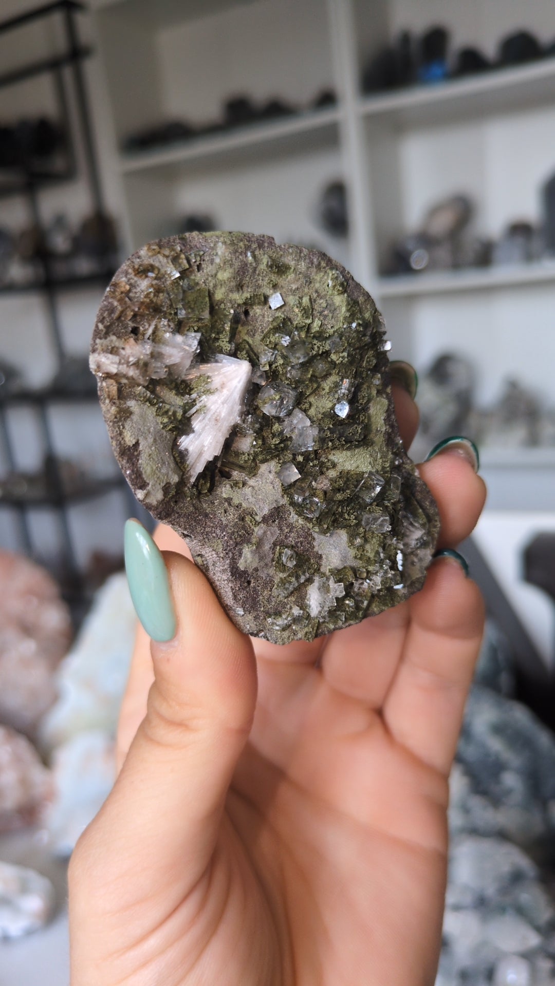 Forest Apophyllite ✨ P