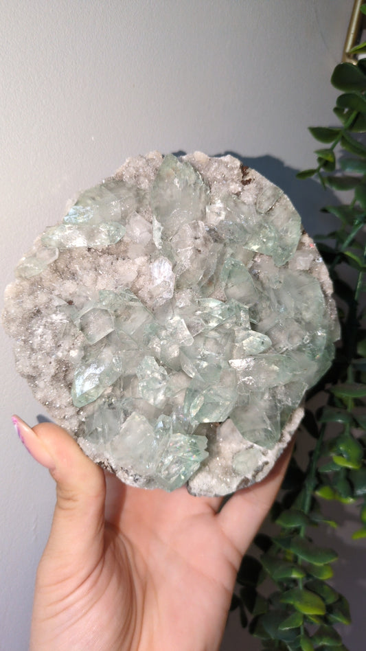 Icy Mint Apophyllite ✨ V