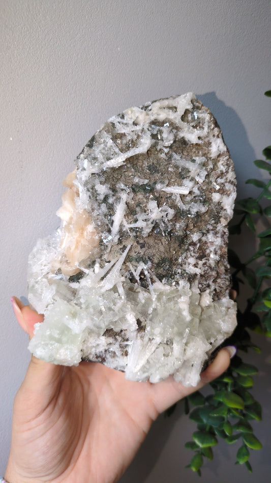Scolecite Sprayed Apophyllite ✨ India ✨