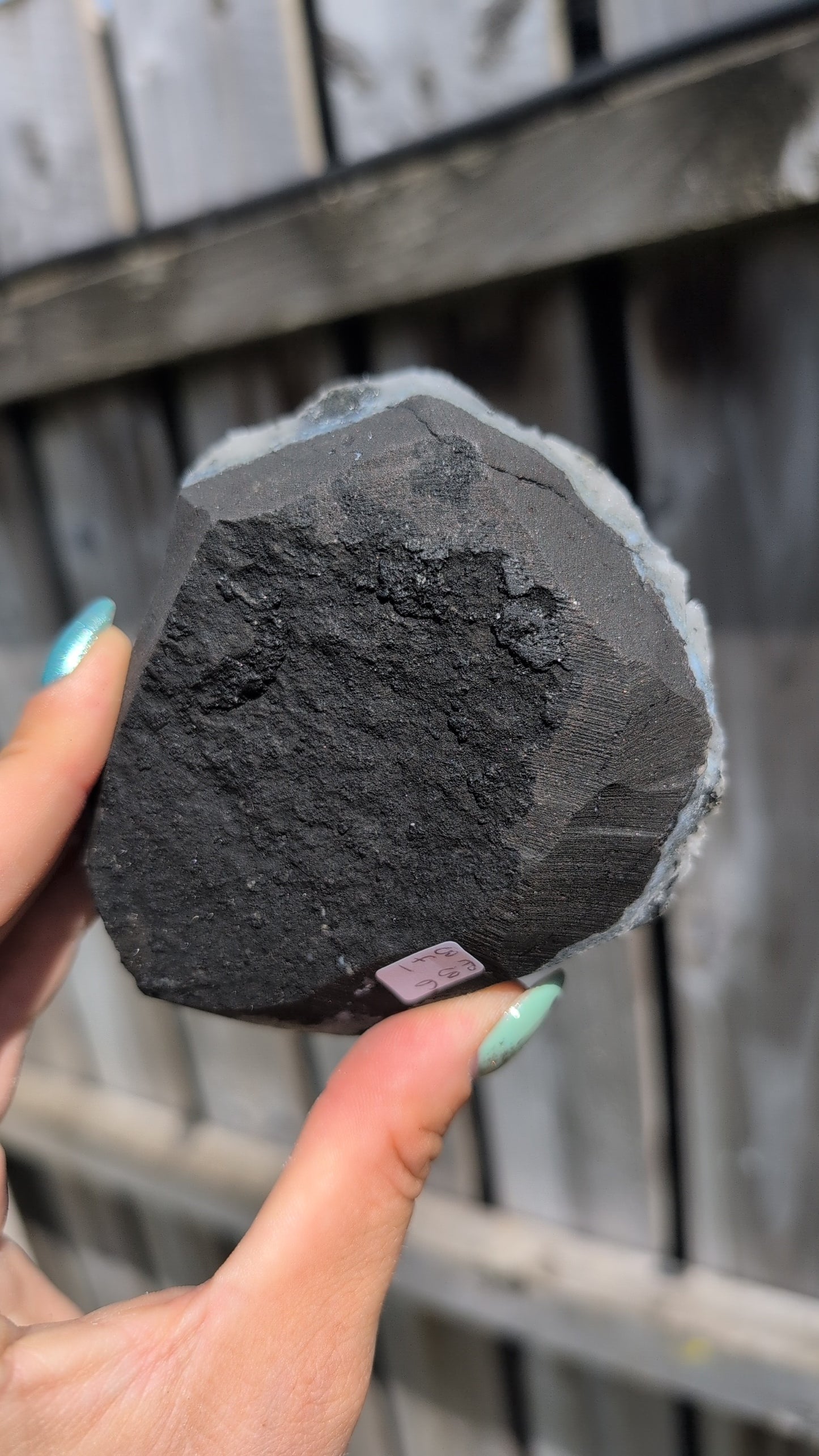 Black forest Apophyllite ✨ O