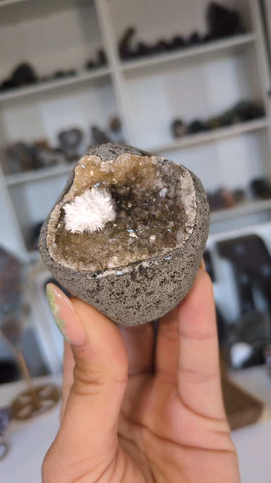 Okenite From India (O) ✨