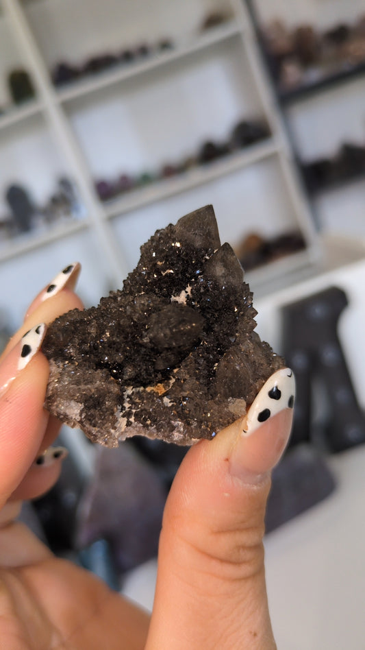 Black spirit quartz ✨ B