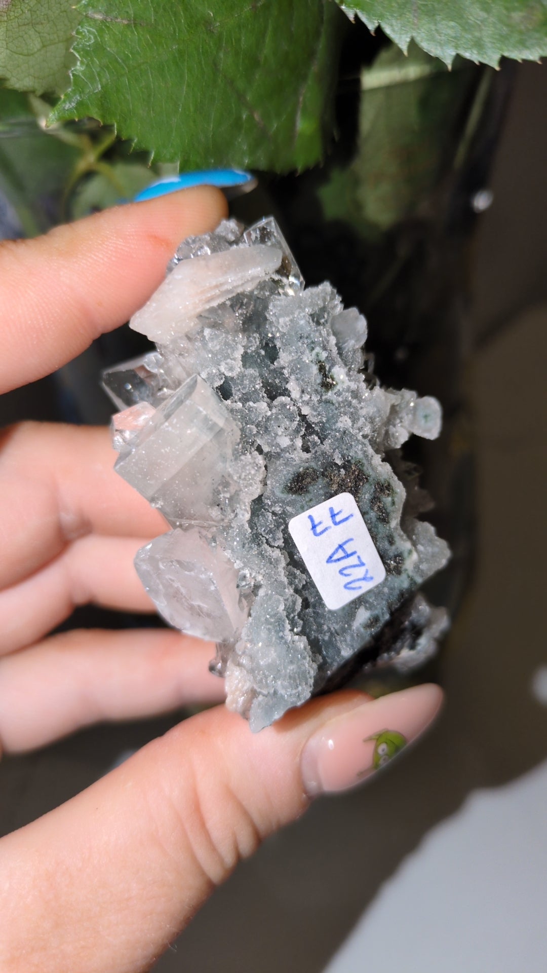 Diamond Apophyllite ✨ A