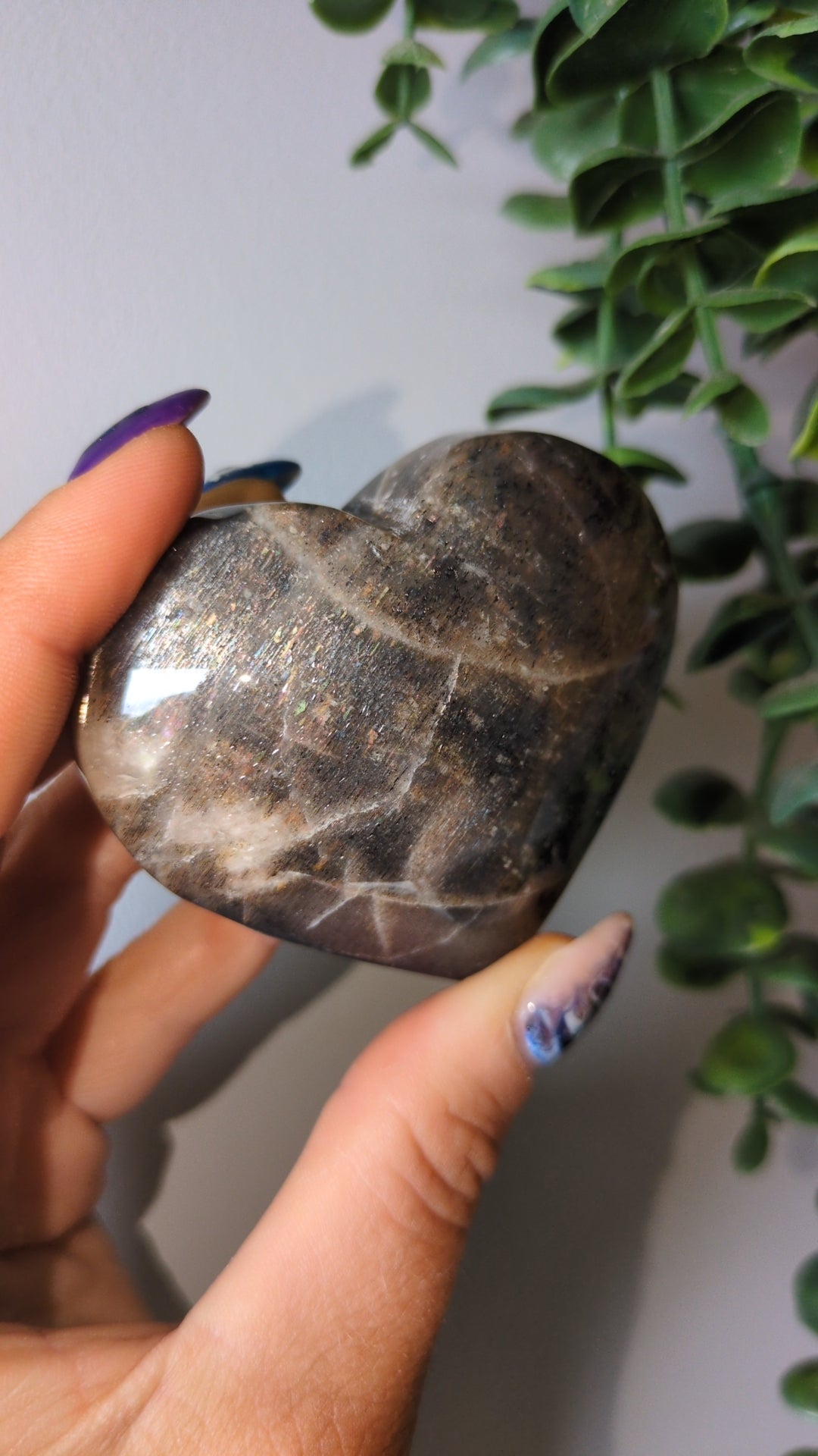 Black moonstone with lattice sunstone ❤️