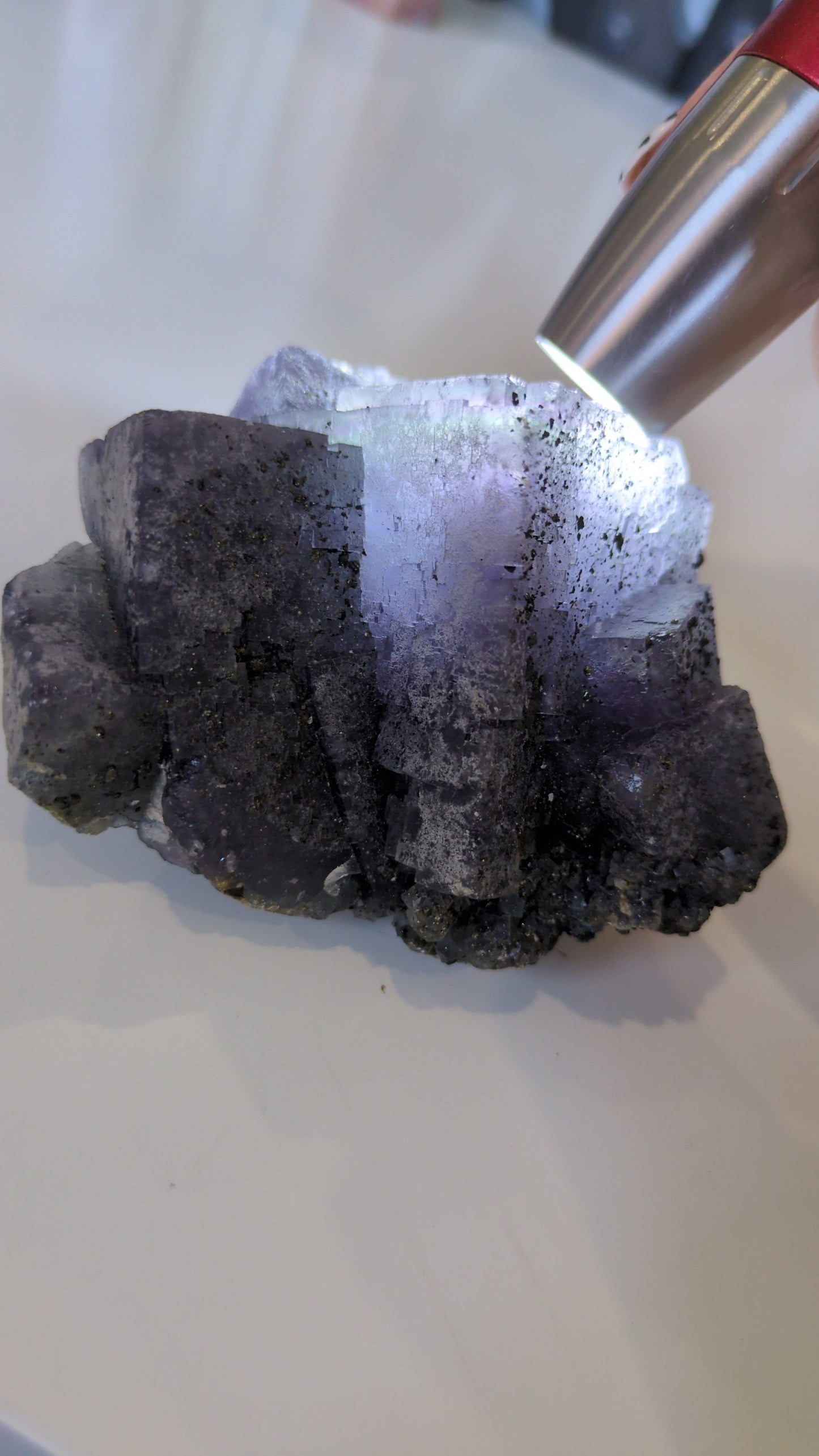 Raw flourite with pyrite ✨