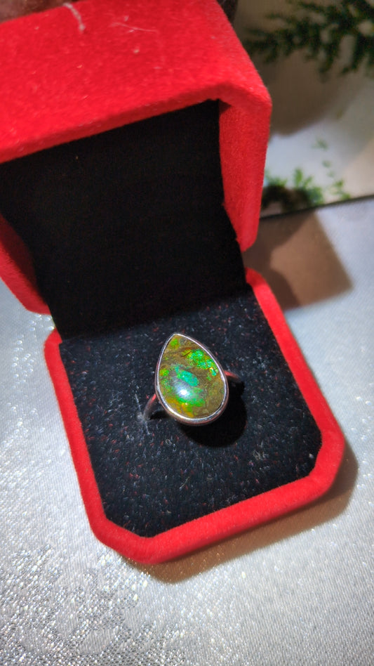 Ammolite ring ✨