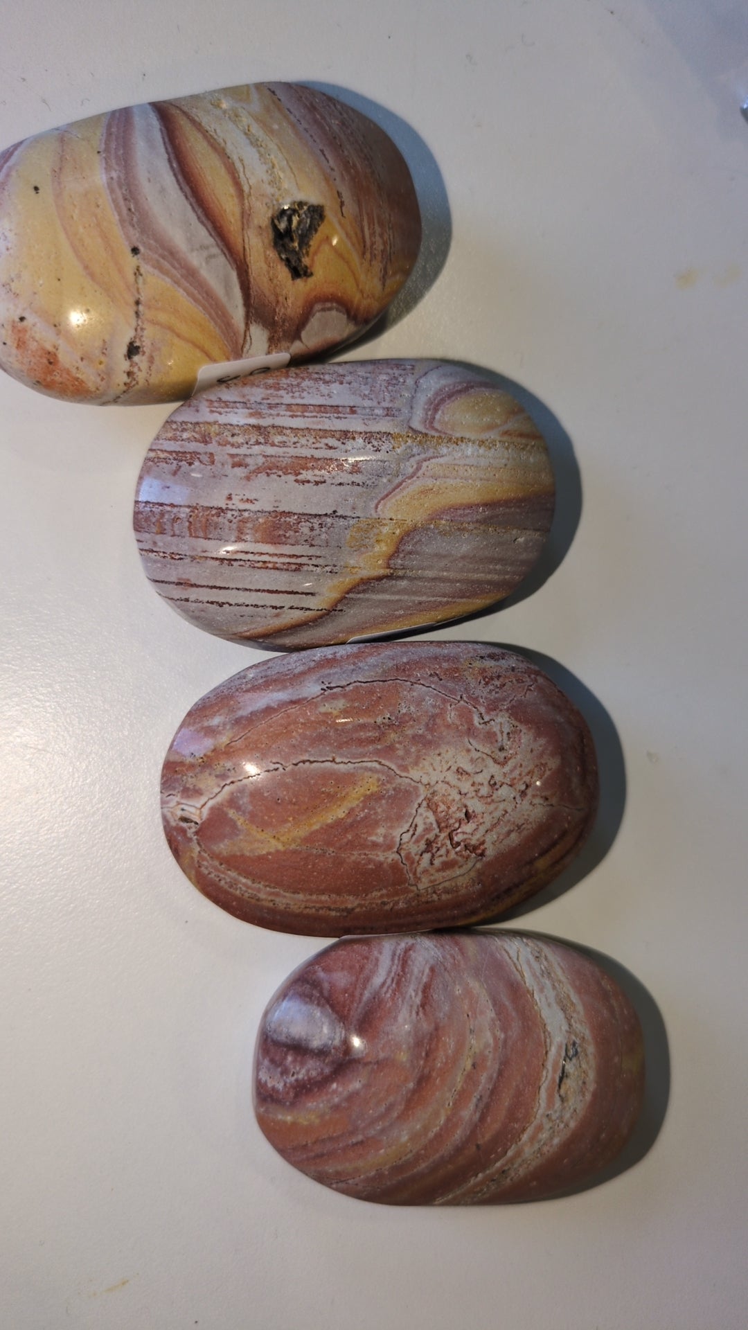 Pink petrified wood palms ✨