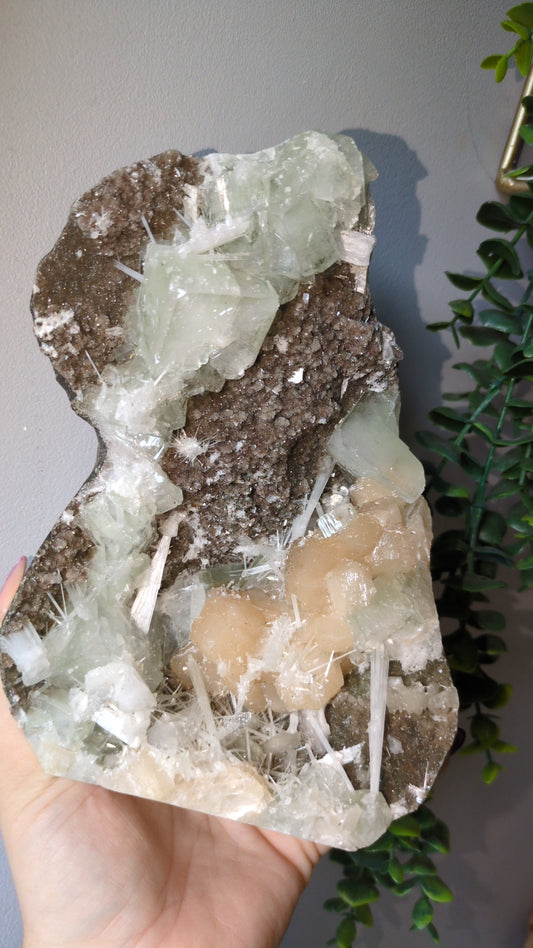 Scolecite Sprayed Apophyllite ✨ C