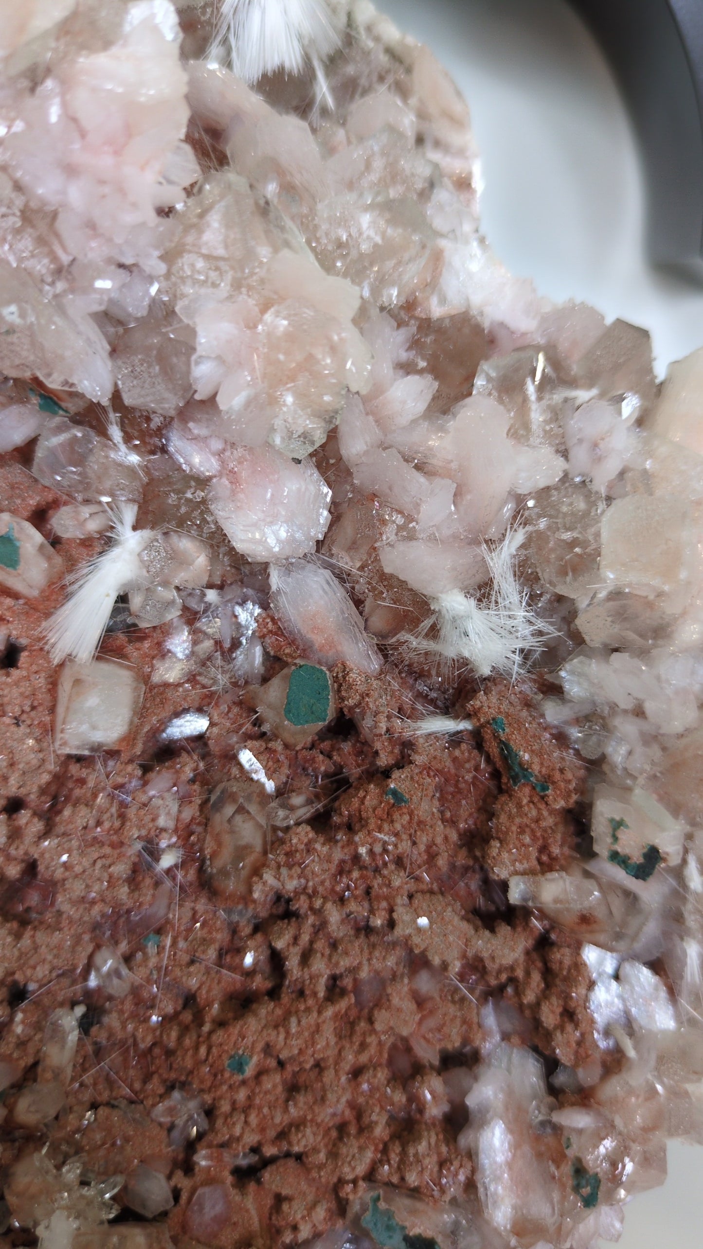 'Strawberry Milkshake' Apophyllite ✨ E