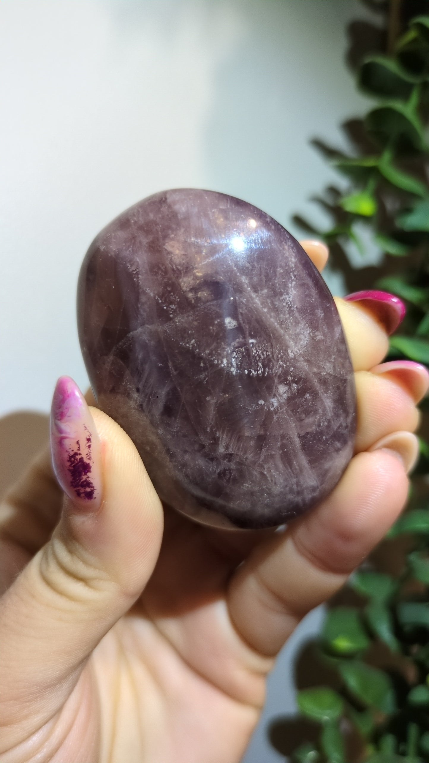 Lavender rose Palm  ✨