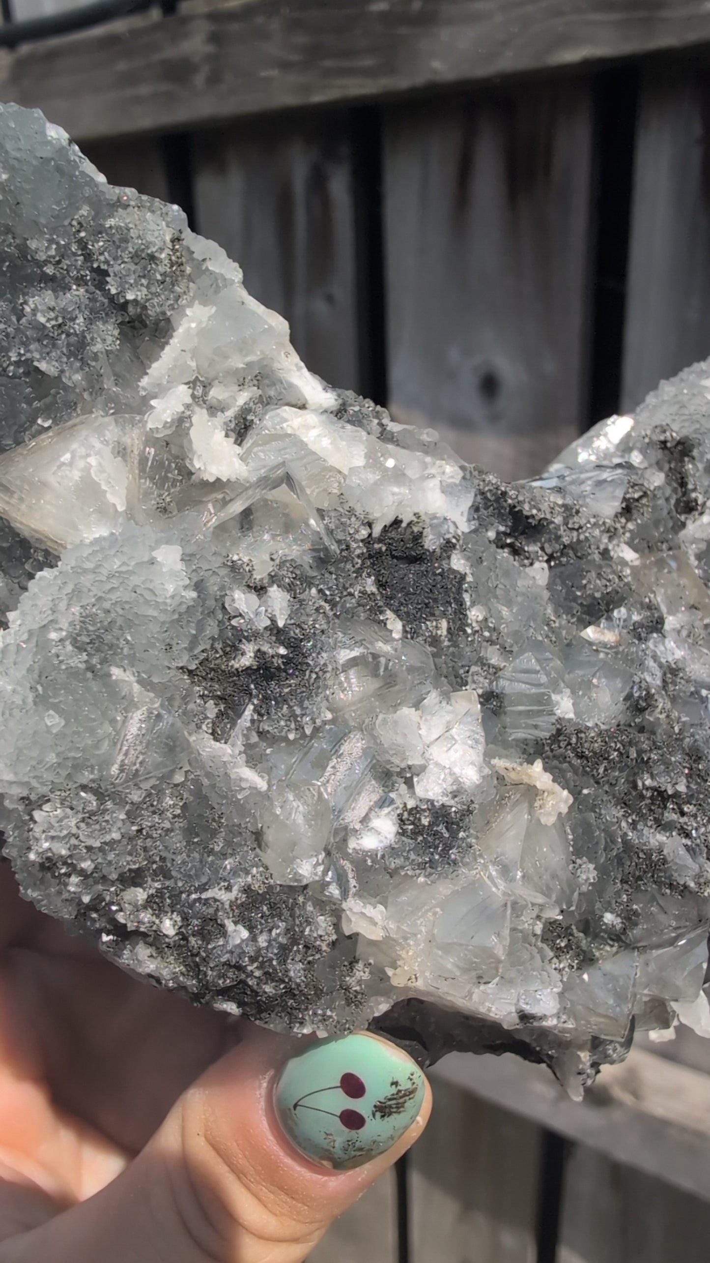 Black forest Apophyllite ✨ P