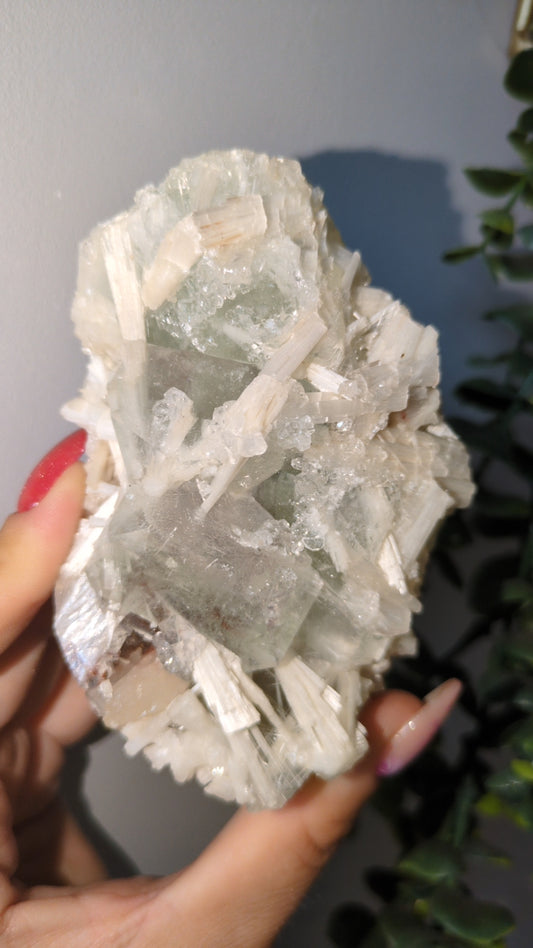 Scolecite Sprayed Apophyllite ✨