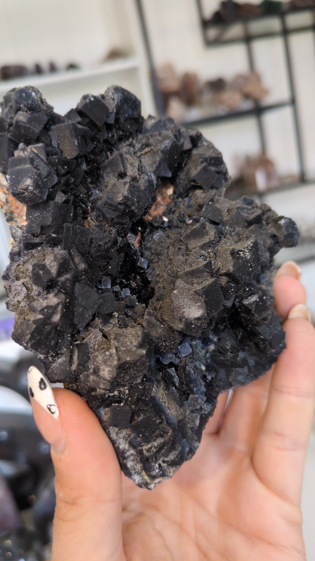 Black rose flourite ✨ A