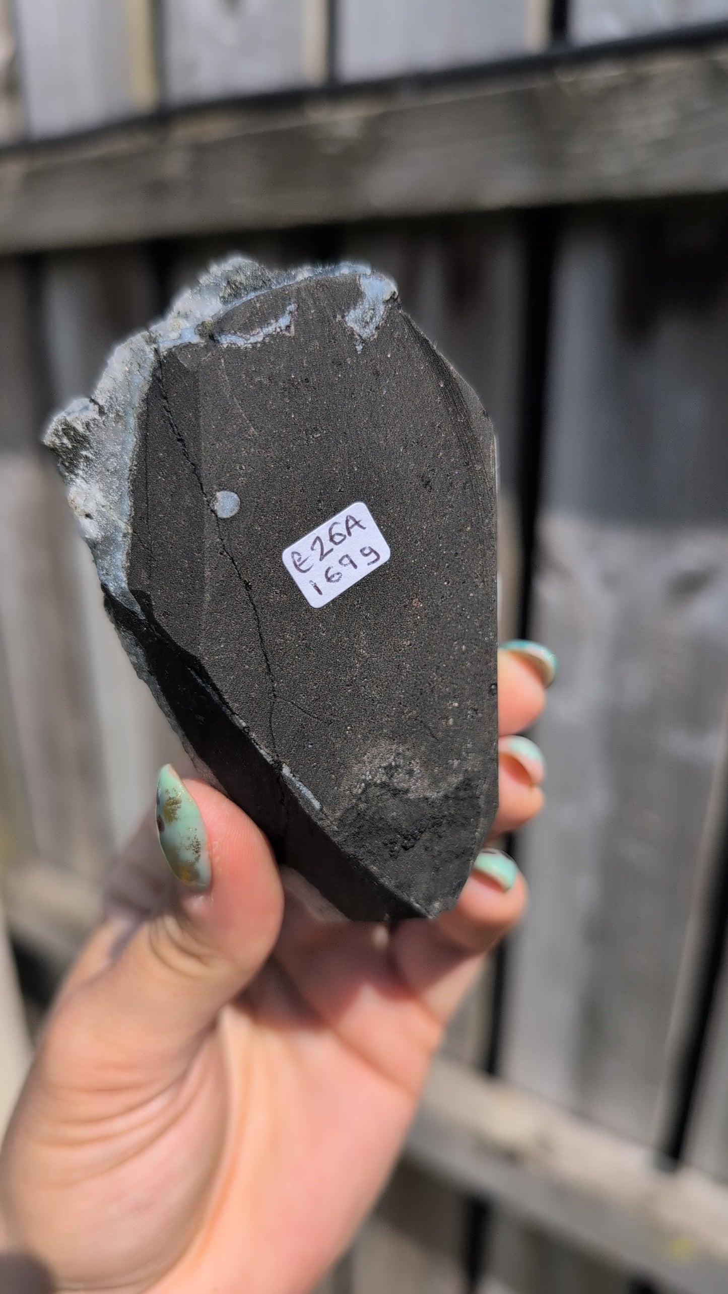 Black forest Apophyllite ✨ A