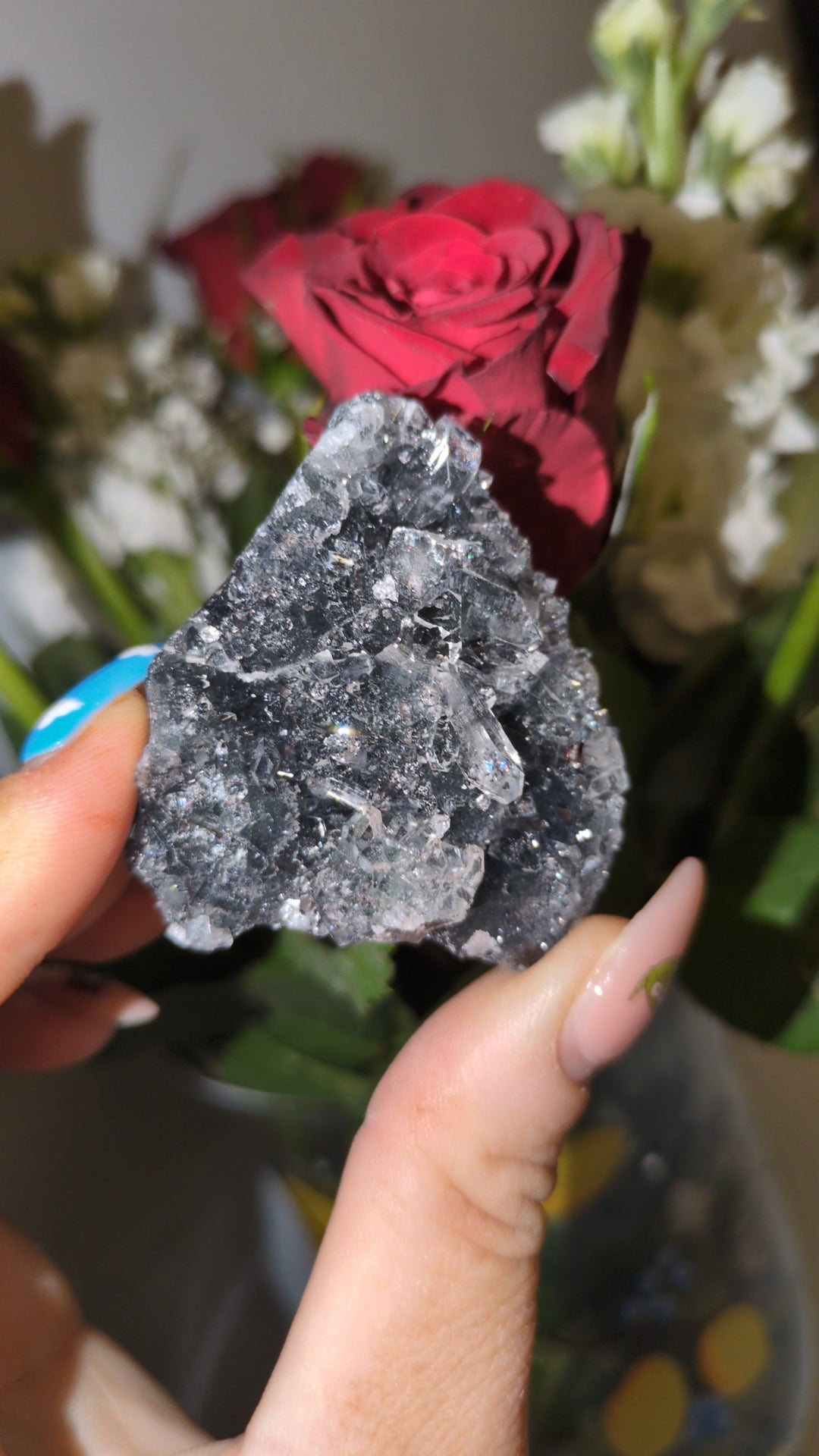 Apophyllite on Black chalcedony ✨ C
