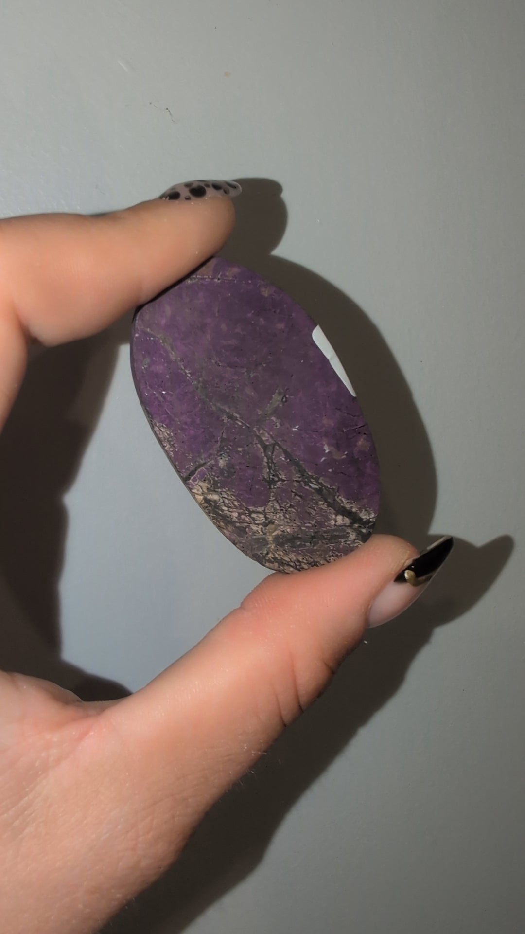 Purphurite palm ✨