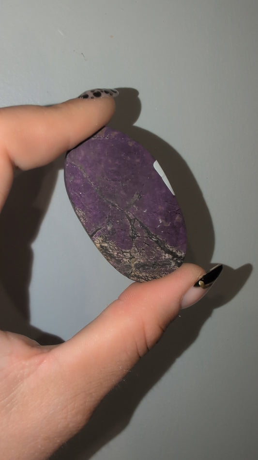 Purphurite palm ✨