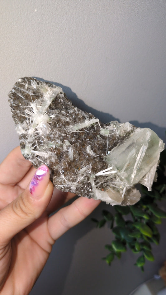 Scolecite Sprayed Apophyllite ✨