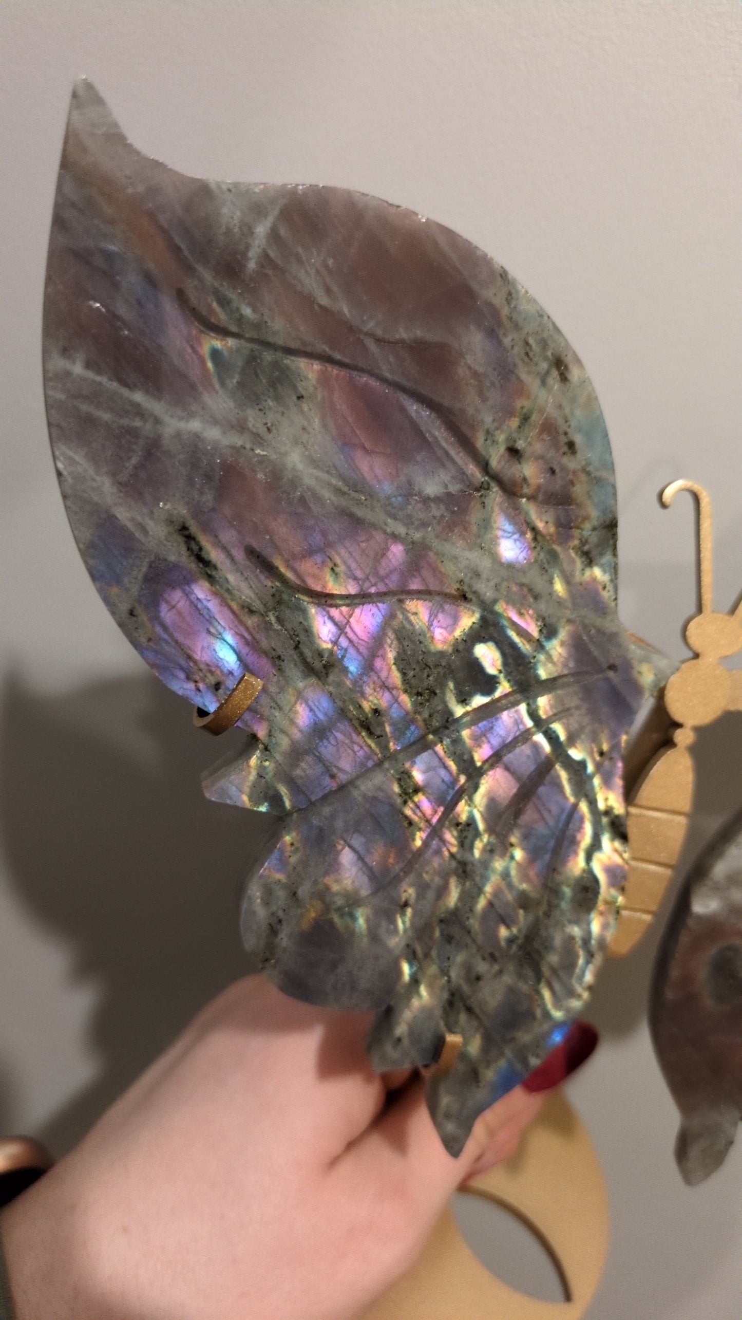 Large rainbow Labradorite wings ✨
