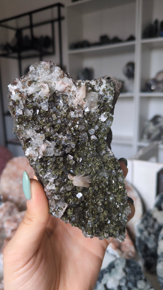Forest Apophyllite ✨ C