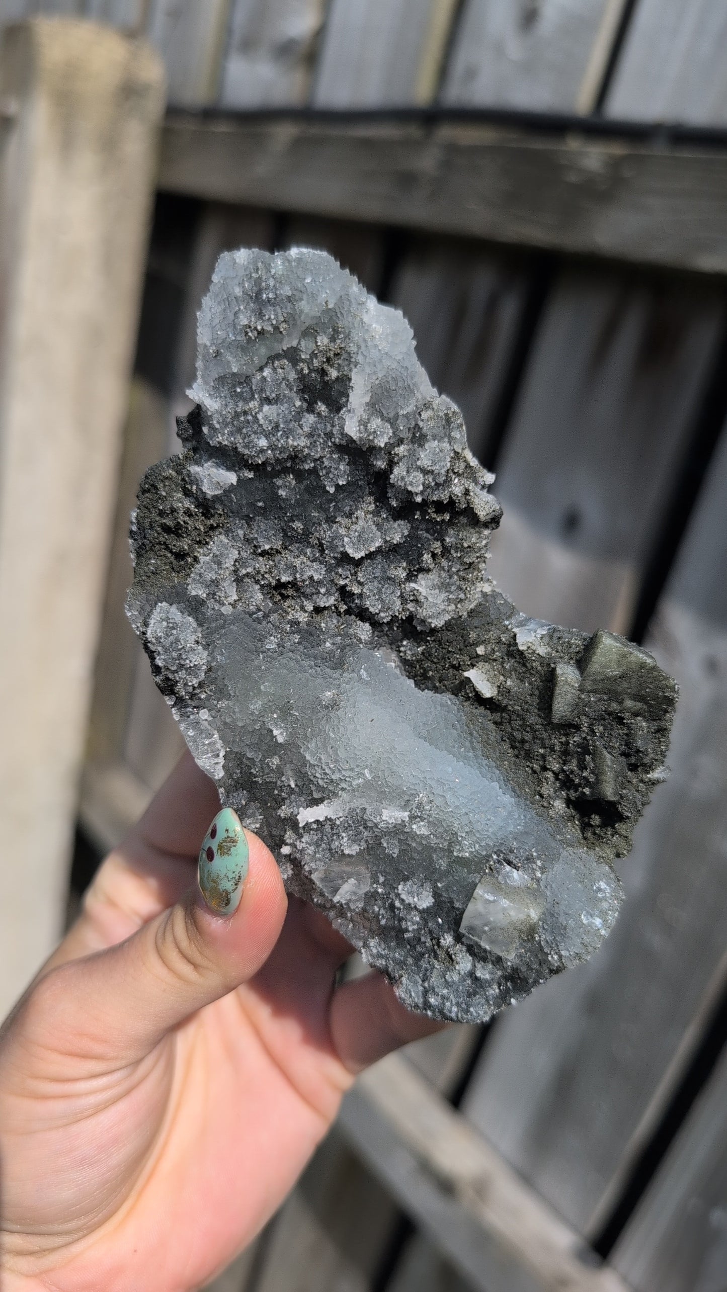 Black forest Apophyllite ✨ J