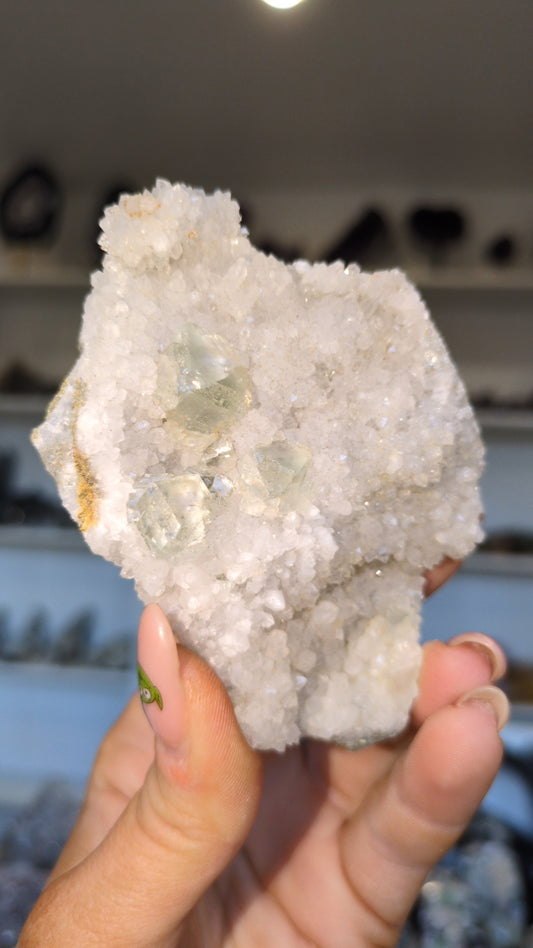 Green flourite on quartz   ✨