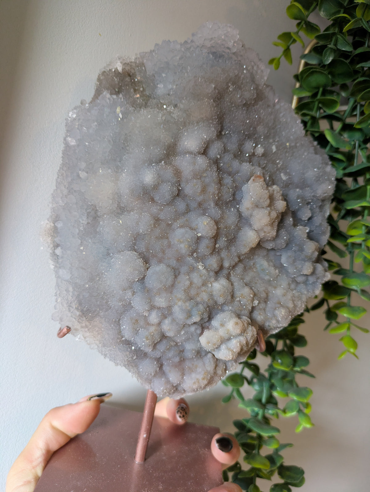 XL zeolite on stand ✨ D