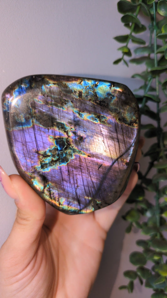 Spectrolite ✨