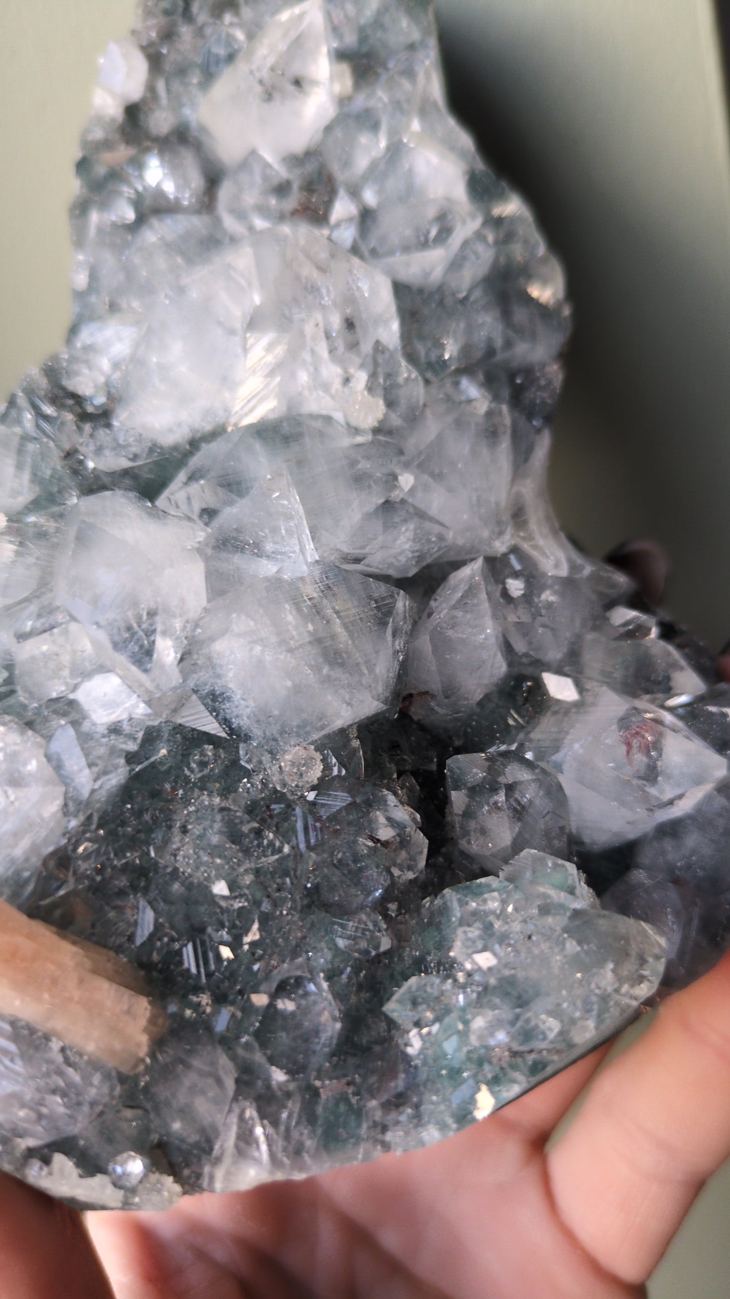 Apophyllite on Green Chalcedony ✨ H