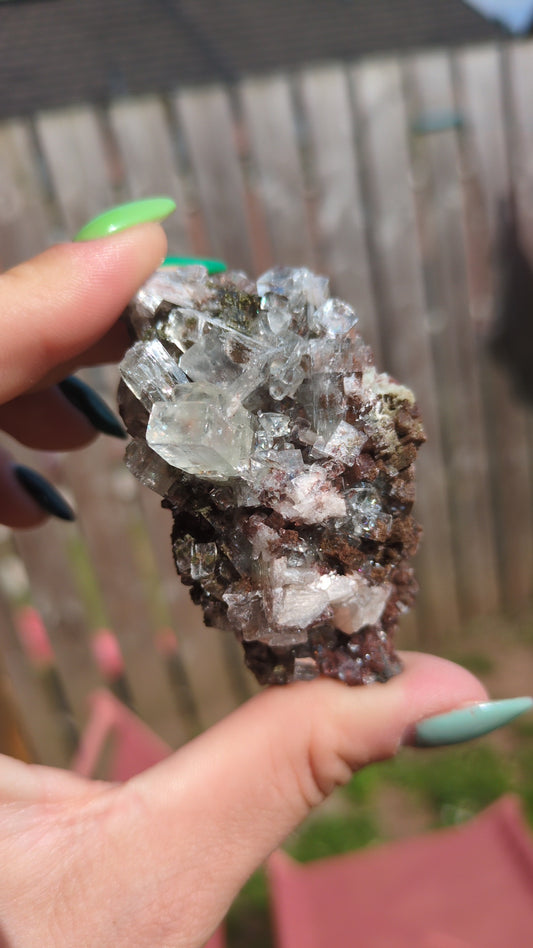 Forest Apophyllite ✨ U